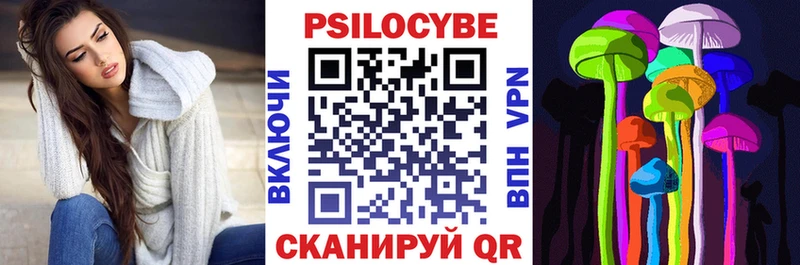 как найти закладки Сортавала Псилоцибиновые грибы Psilocybine cubensis